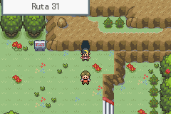 pokemon liquid crystal español ruta 31